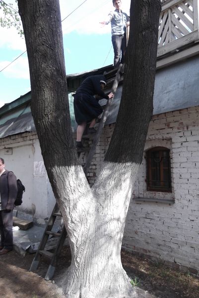 На колокольню поднимаются по приставной деревянной лесенке 