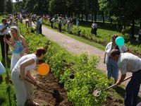 Аллея Петра и Февронии в Коломенском